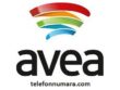 Avea Telefon Numarası Müşteri Hizmetleri WhatsApp Hattı İletişim Mail Adresi 
